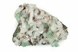 Gemmy Apophyllite Crystals with Stilbite - India #243890-3